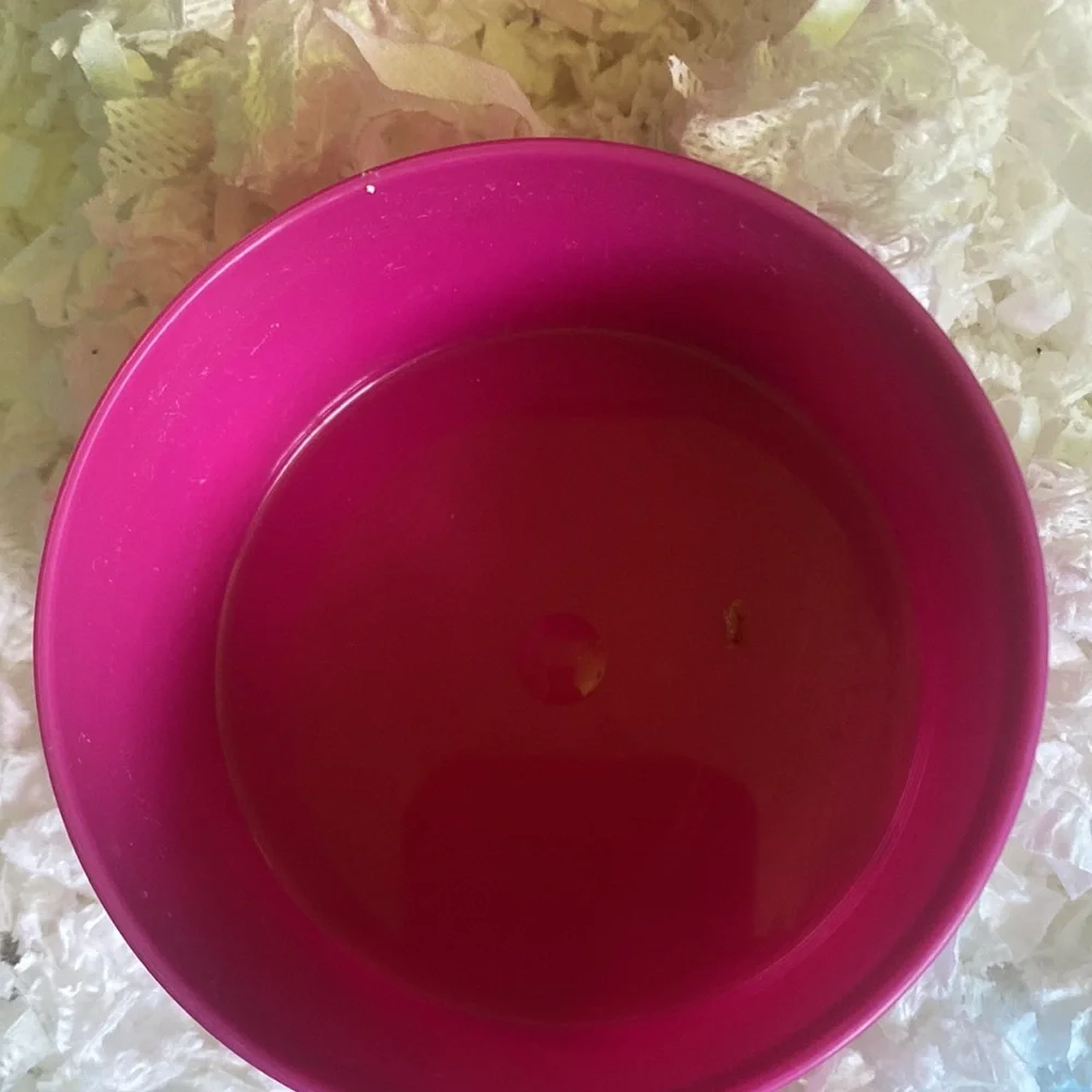 Hamster cage with Hamster wheel, Food bowl, And water bottle